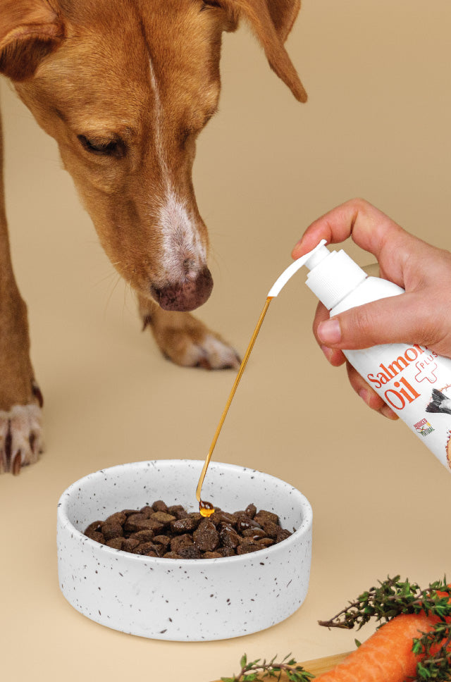 Salmon Oil Plus