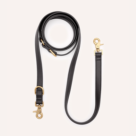 Guia \ Trela multi-posições preta para cão em material sintético premium, em Lignify®