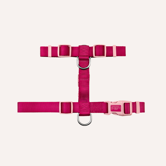 Arnês (back) Rosa para Cão