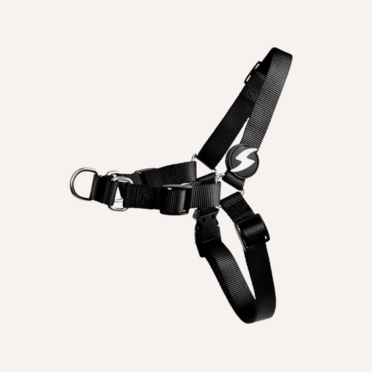 Arnês Frontal