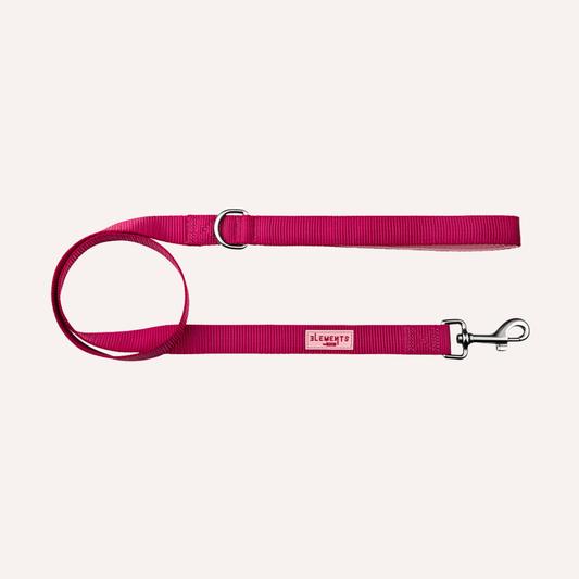 Trela Rosa para Cão
