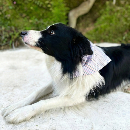 Bandana Riscas Vintage - OÁSIS