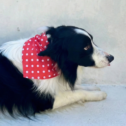 Bandana Polka Dot Red - POÁ